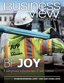 Business View Magazine North America Nov 2020 cover